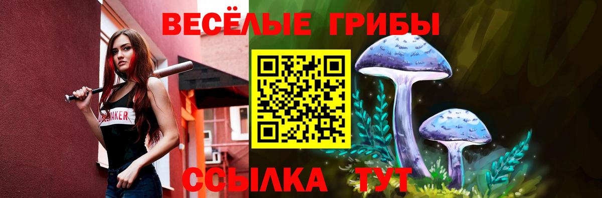 Галлюциногенные грибы мицелий Калач-на-Дону